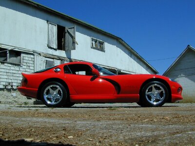 Dodge Viper — photo 62
